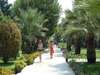 Club Boran Mare Beach 